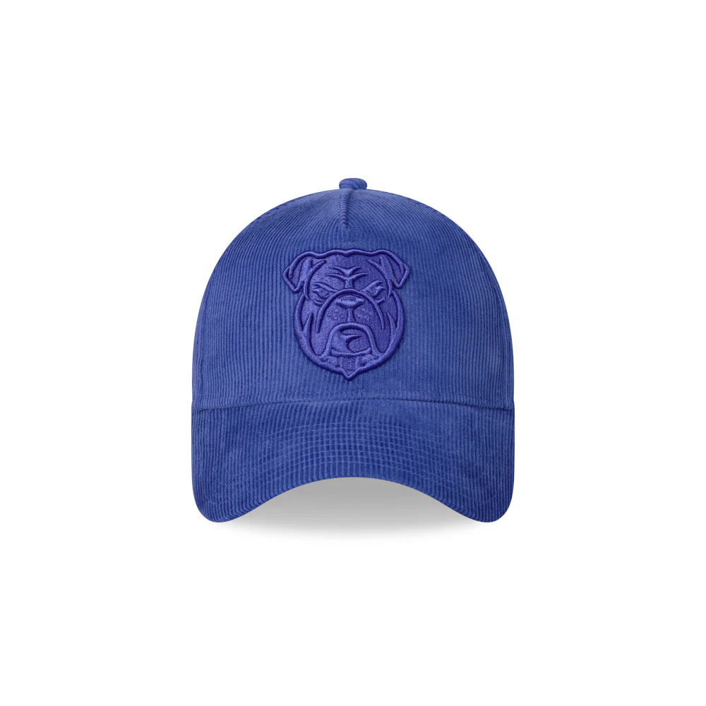 Canterbury-Bankstown Bulldogs 9Forty Chord Tonal - Image 2
