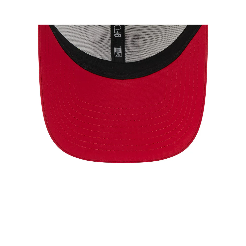 Dragons 2025 Media Cap - Image 7