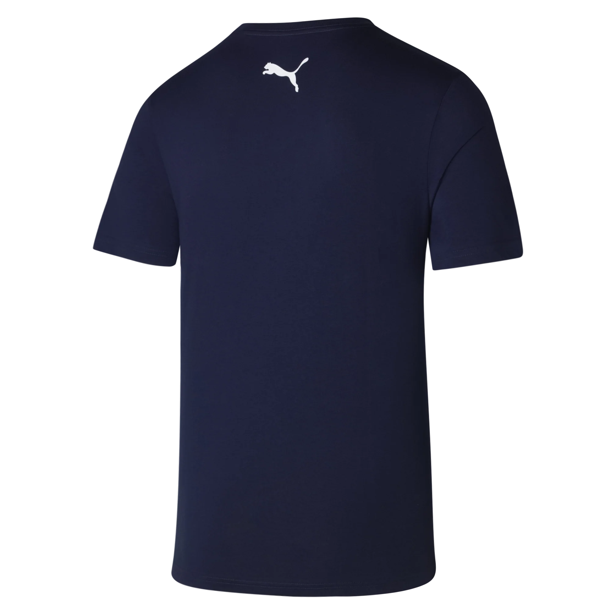 NSW Blues 2024 Mens Graphic Tee - Image 2