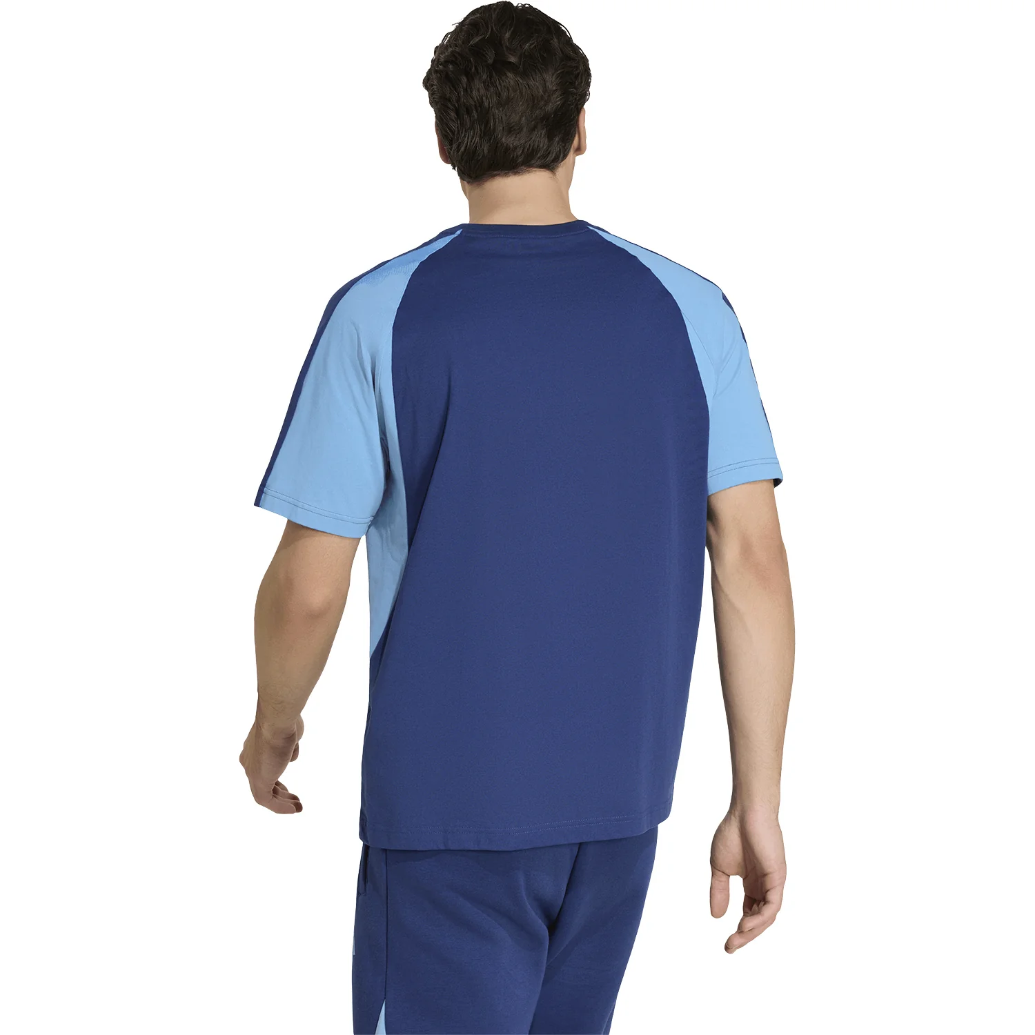 Westpac NSW Blues Adult 2026 T-Shirt Dark Blue - Image 4