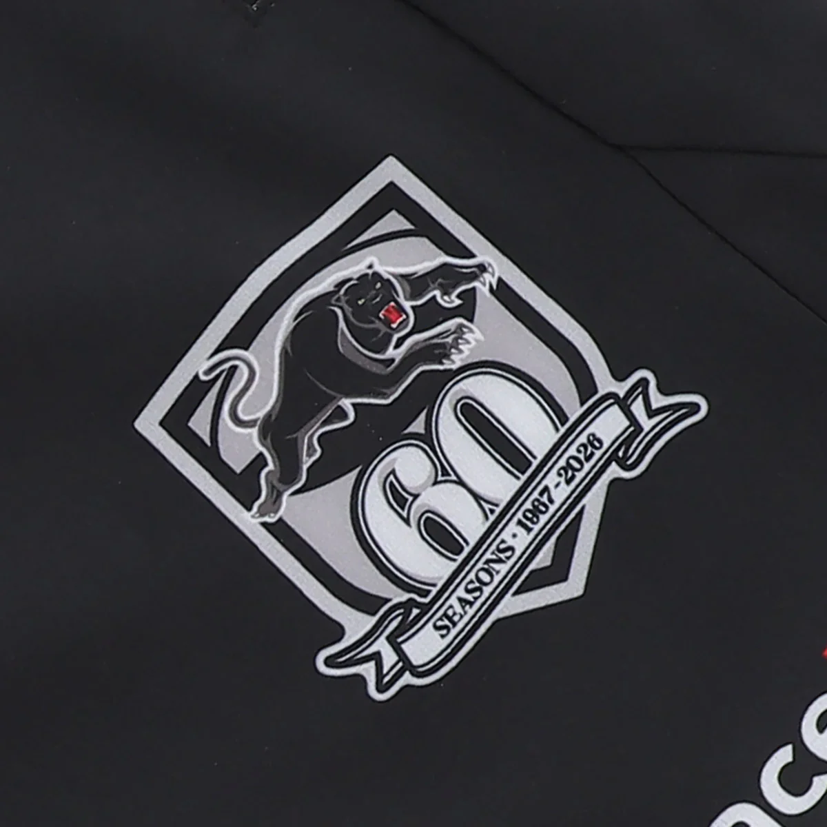 Penrith Panthers Mens 2026 Training Shorts - Image 4